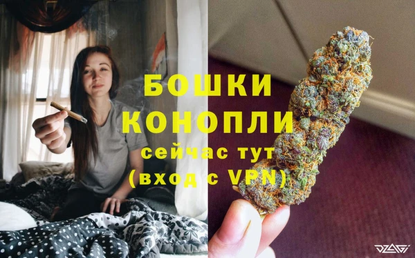 мяу мяу мука Абаза
