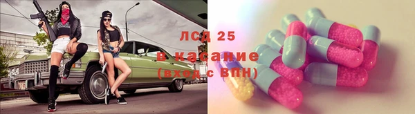 мяу мяу мука Абаза
