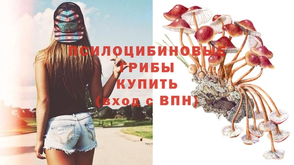 стаф Абдулино
