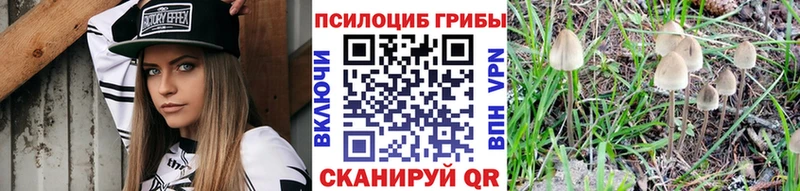 что такое наркотик ОМГ ОМГ зеркало Галлюциногенные грибы Psilocybine cubensis Агрыз